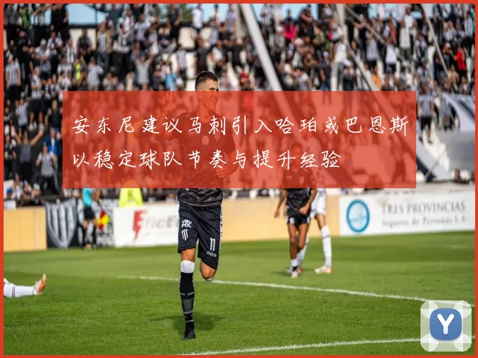 安东尼建议马刺引入哈珀或巴恩斯以稳定球队节奏与提升经验